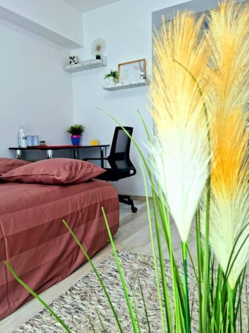 Ultracentral Magheru Studio Lägenhet Bukarest Exteriör bild